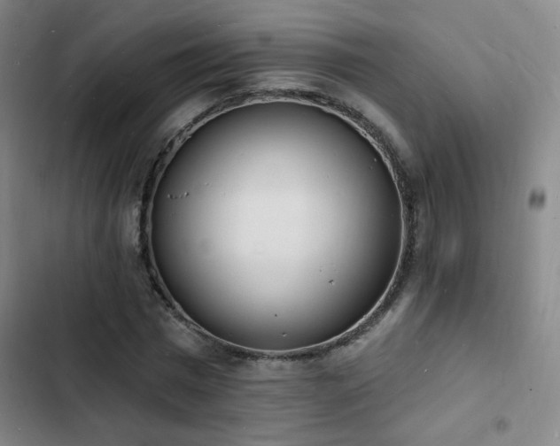 X0000103300777200808291404