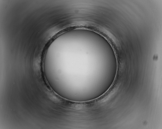 X0000103300778200808291404