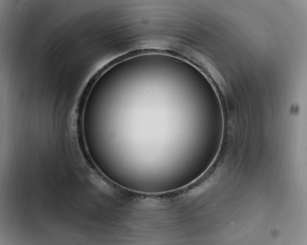 X0000103300779200808291404