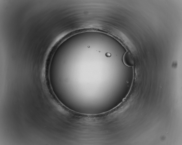 X0000103300780200808291404