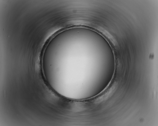 X0000103300782200808291404