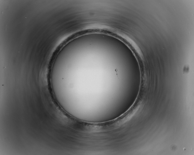 X0000103300783200808291404