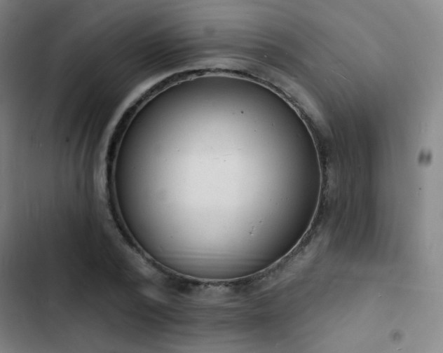 X0000103300784200808291404