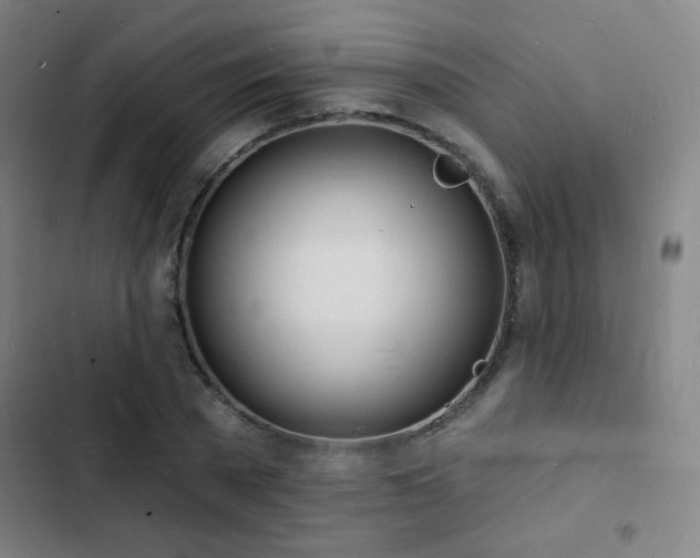 X0000103300785200808291404