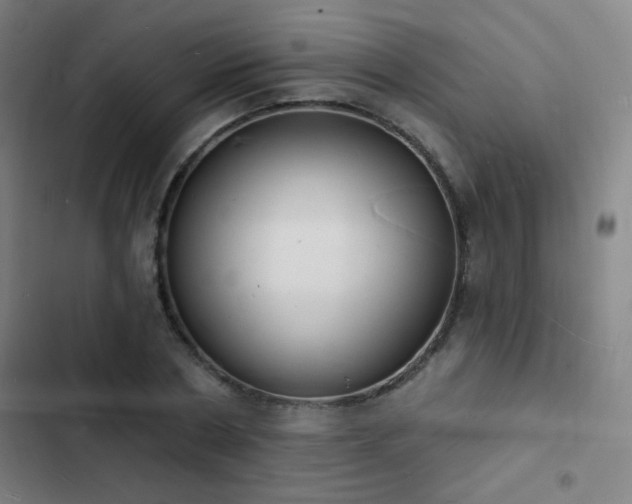 X0000103300786200808291404