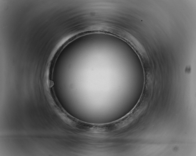 X0000103300788200808291404