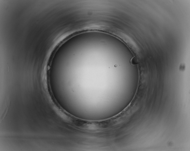 X0000103300792200808291404