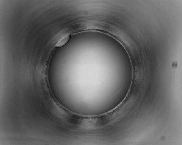 X0000103300793200808291404