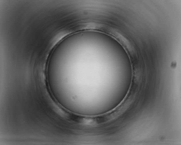 X0000103300794200808291404