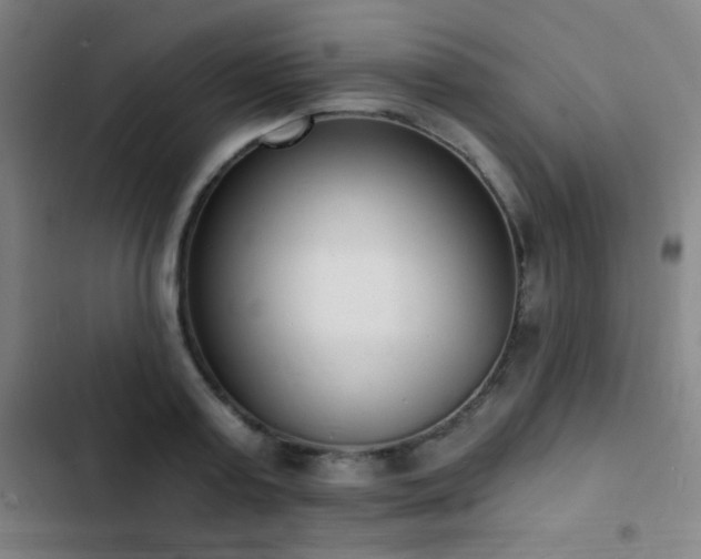 X0000103300795200808291404
