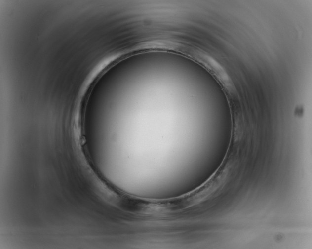 X0000103300796200808291404