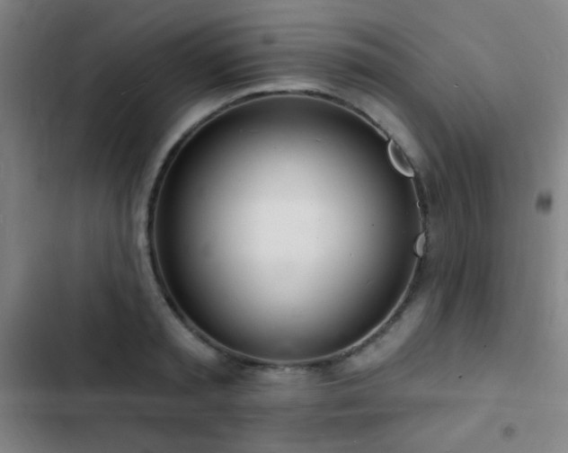 X0000103300797200808291404