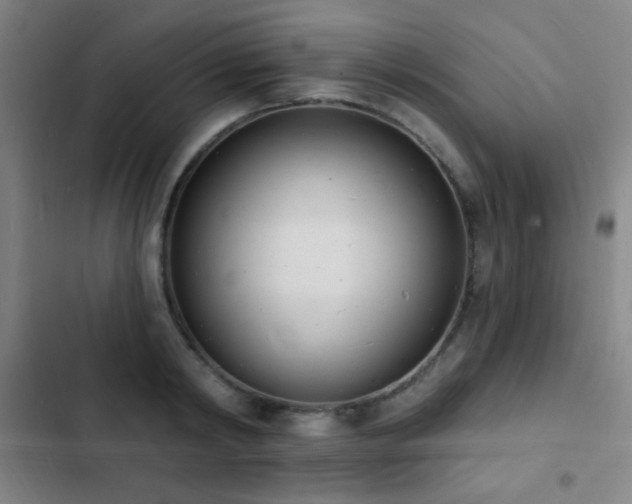 X0000103300798200808291404