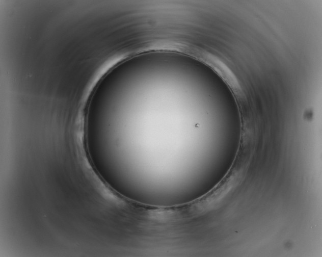 X0000103300804200808291404