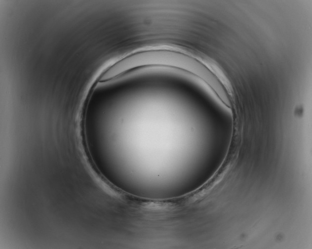 X0000103300805200808291404