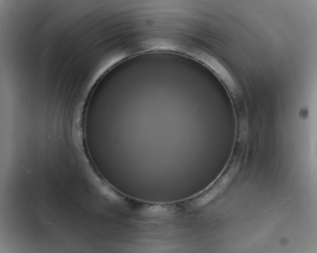 X0000103300806200808291404