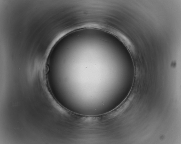 X0000103300808200808291404