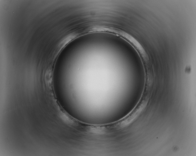X0000103300809200808291404