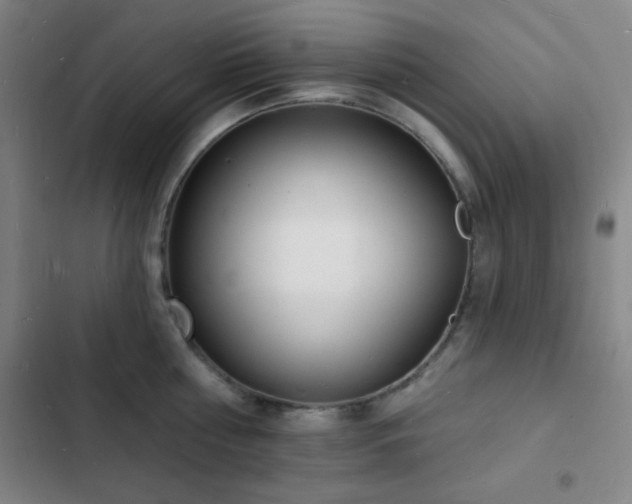 X0000103300810200808291404