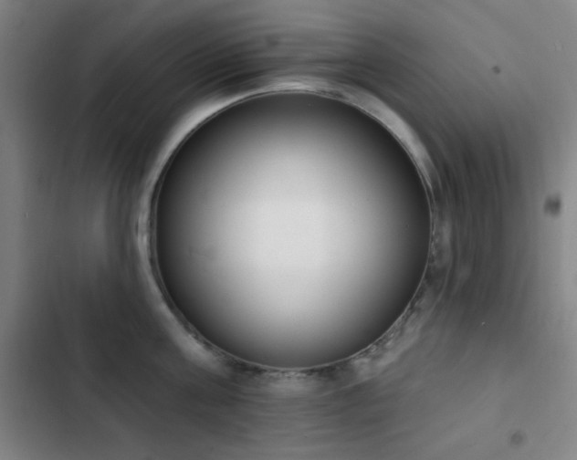 X0000103300811200808291404