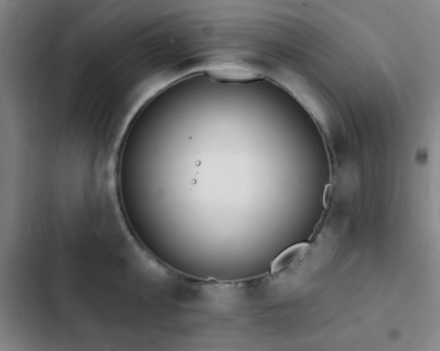 X0000103300813200808291404