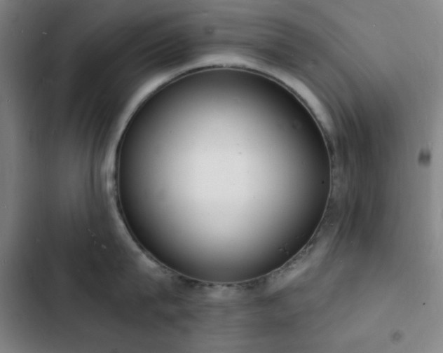 X0000103300815200808291404