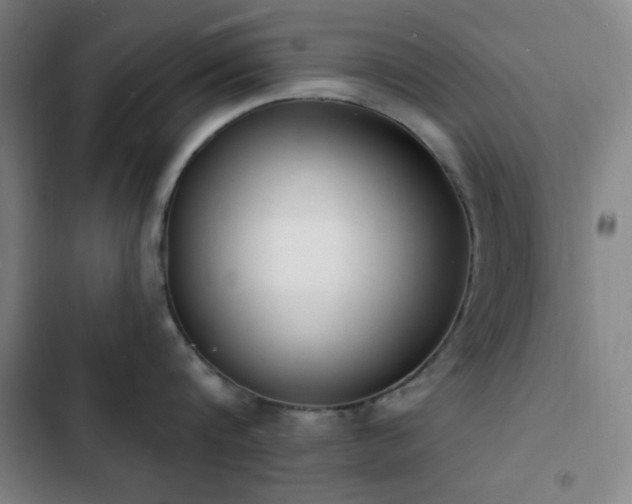 X0000103300816200808291404