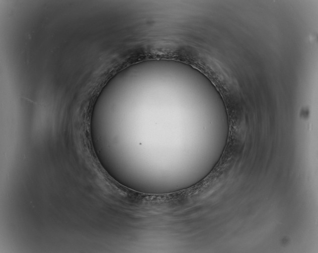 X0000103300817200808291403