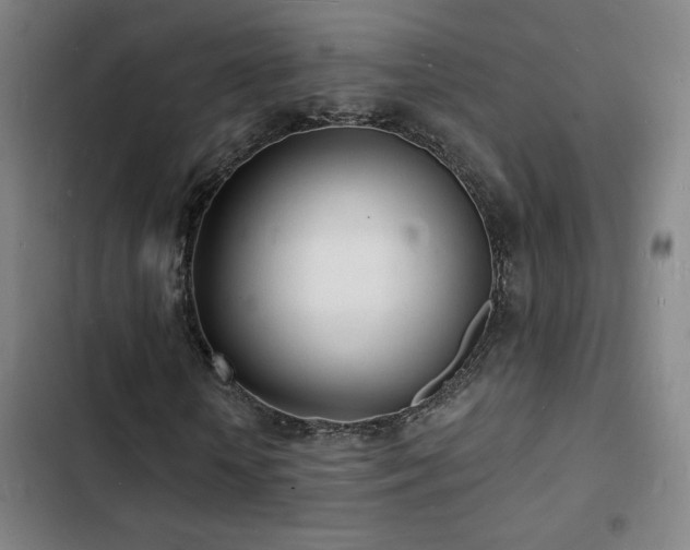 X0000103300818200808291403