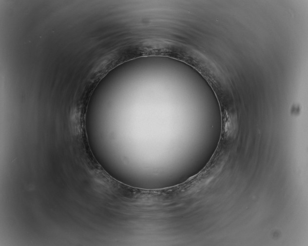 X0000103300819200808291403