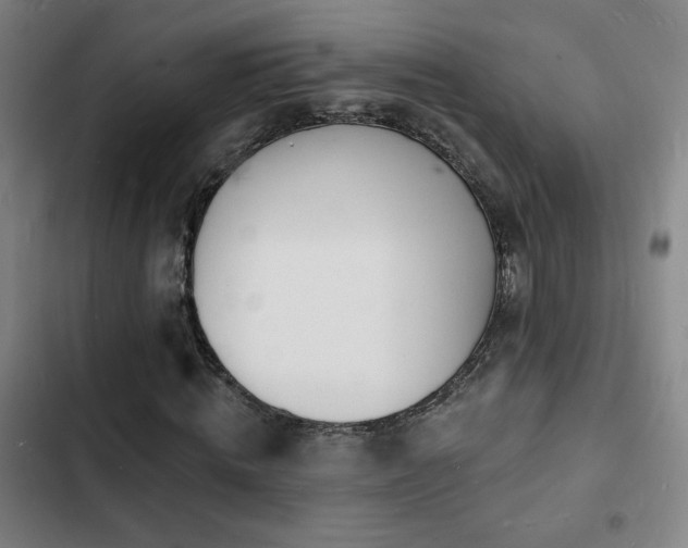 X0000103300820200808291403