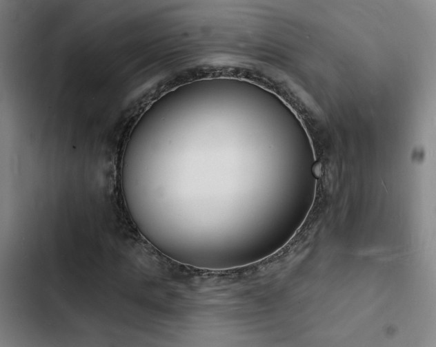 X0000103300821200808291403