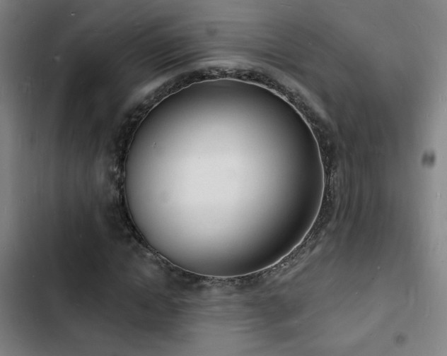 X0000103300822200808291403
