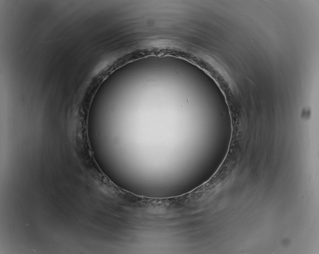X0000103300823200808291403
