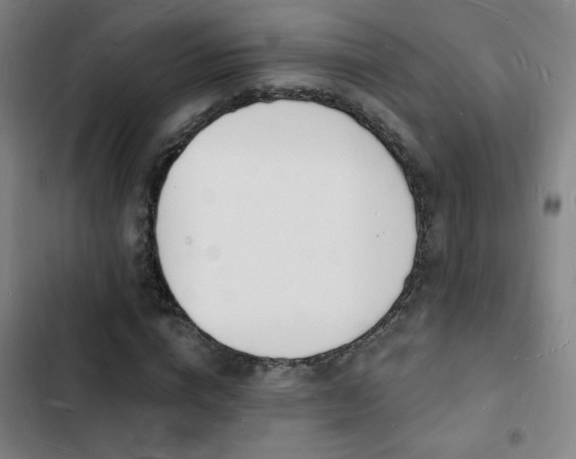 X0000103300824200808291403