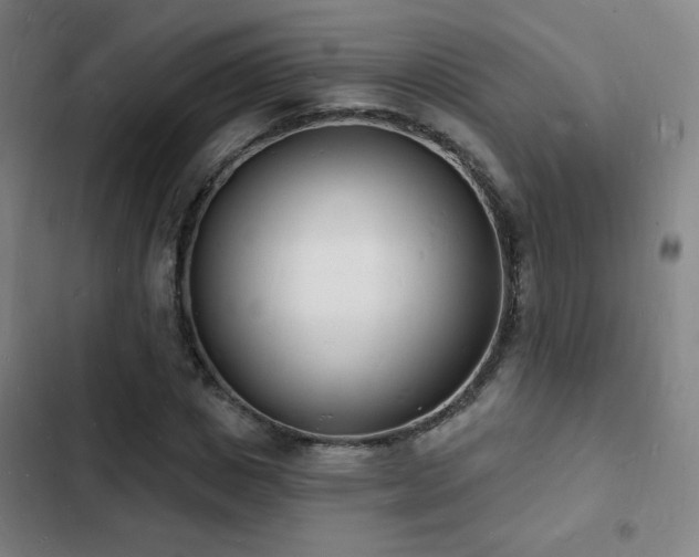 X0000103300825200808291403