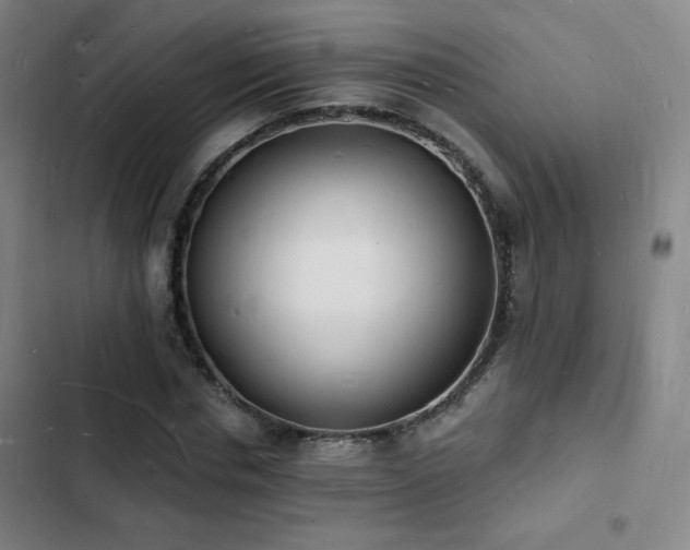 X0000103300826200808291403
