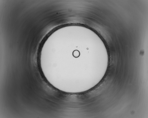 X0000103300828200808291403