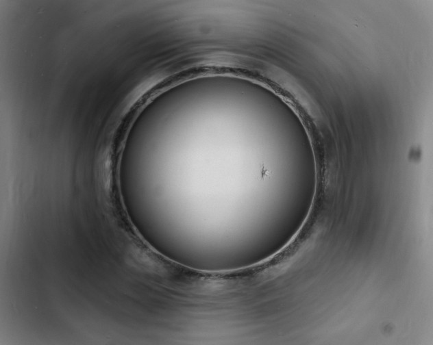 X0000103300829200808291403
