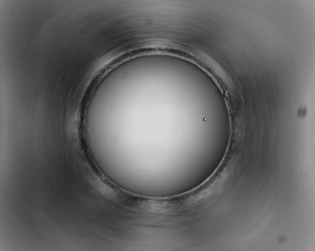 X0000103300831200808291403