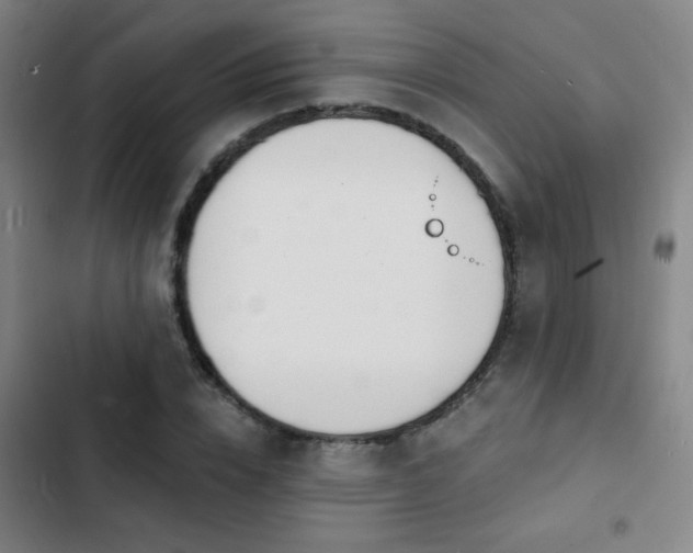 X0000103300832200808291403