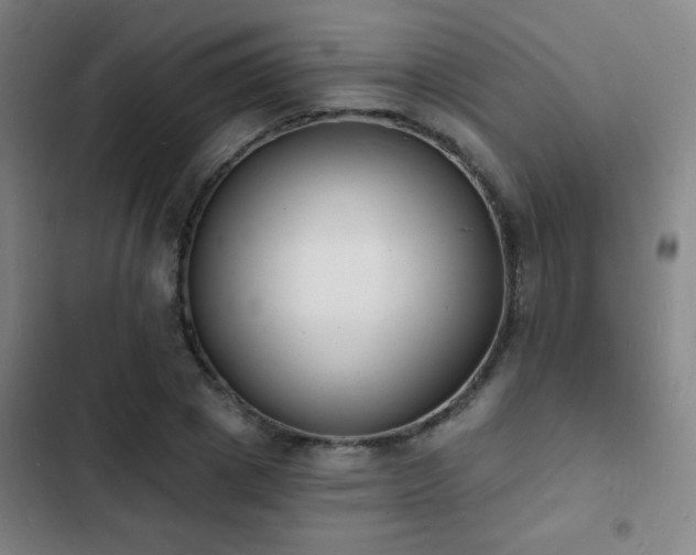 X0000103300833200808291403