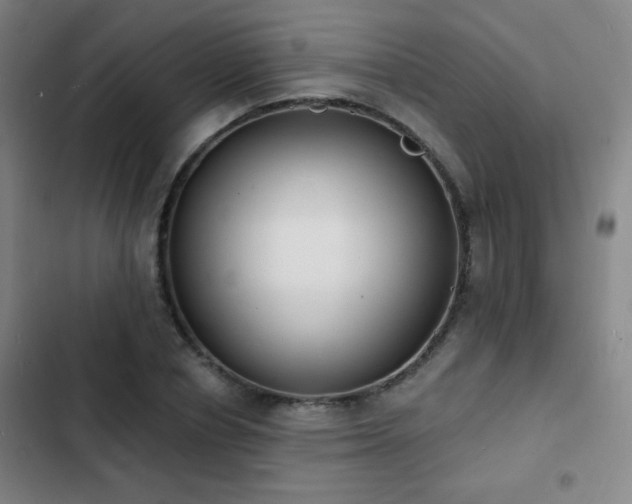 X0000103300834200808291403