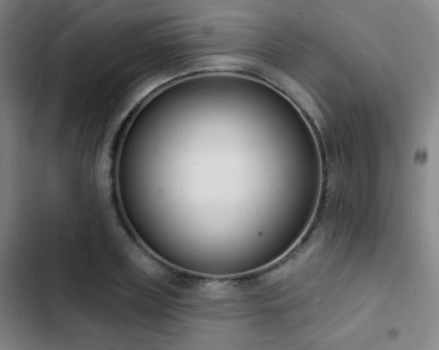 X0000103300835200808291403
