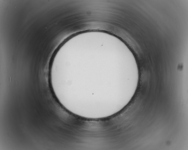 X0000103300836200808291403