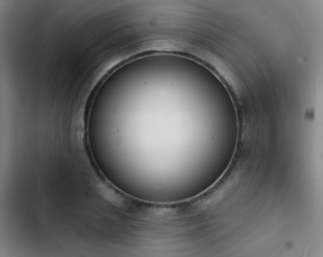 X0000103300837200808291403