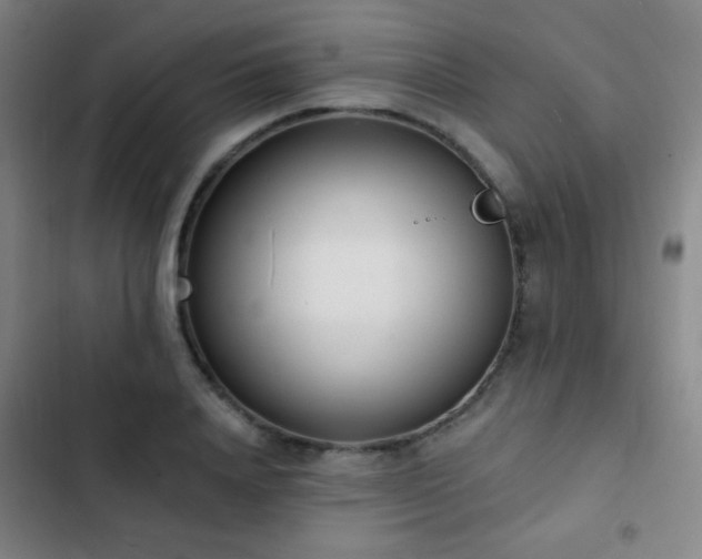 X0000103300840200808291403