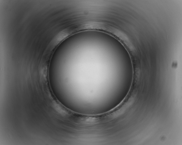 X0000103300841200808291403