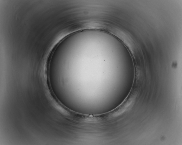 X0000103300843200808291403