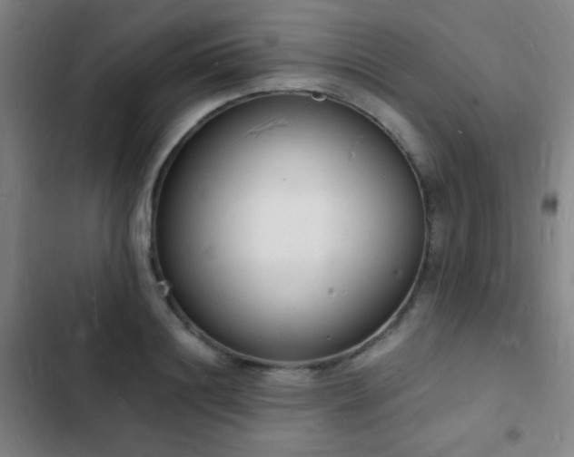X0000103300844200808291403